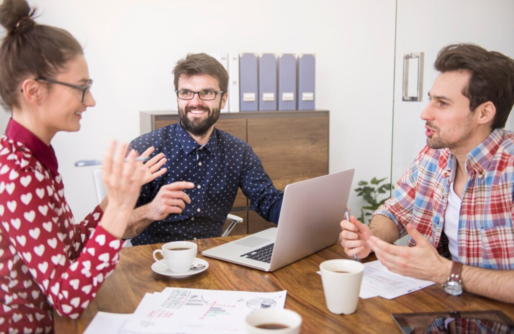 Financial Audits for Transparency